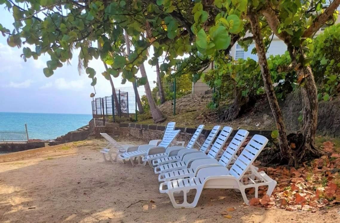 Ilet Bleu Studio Cosy Rdc Vue Mer Et Jardin - Acces Direct Plage Le Gosier  Exterior foto