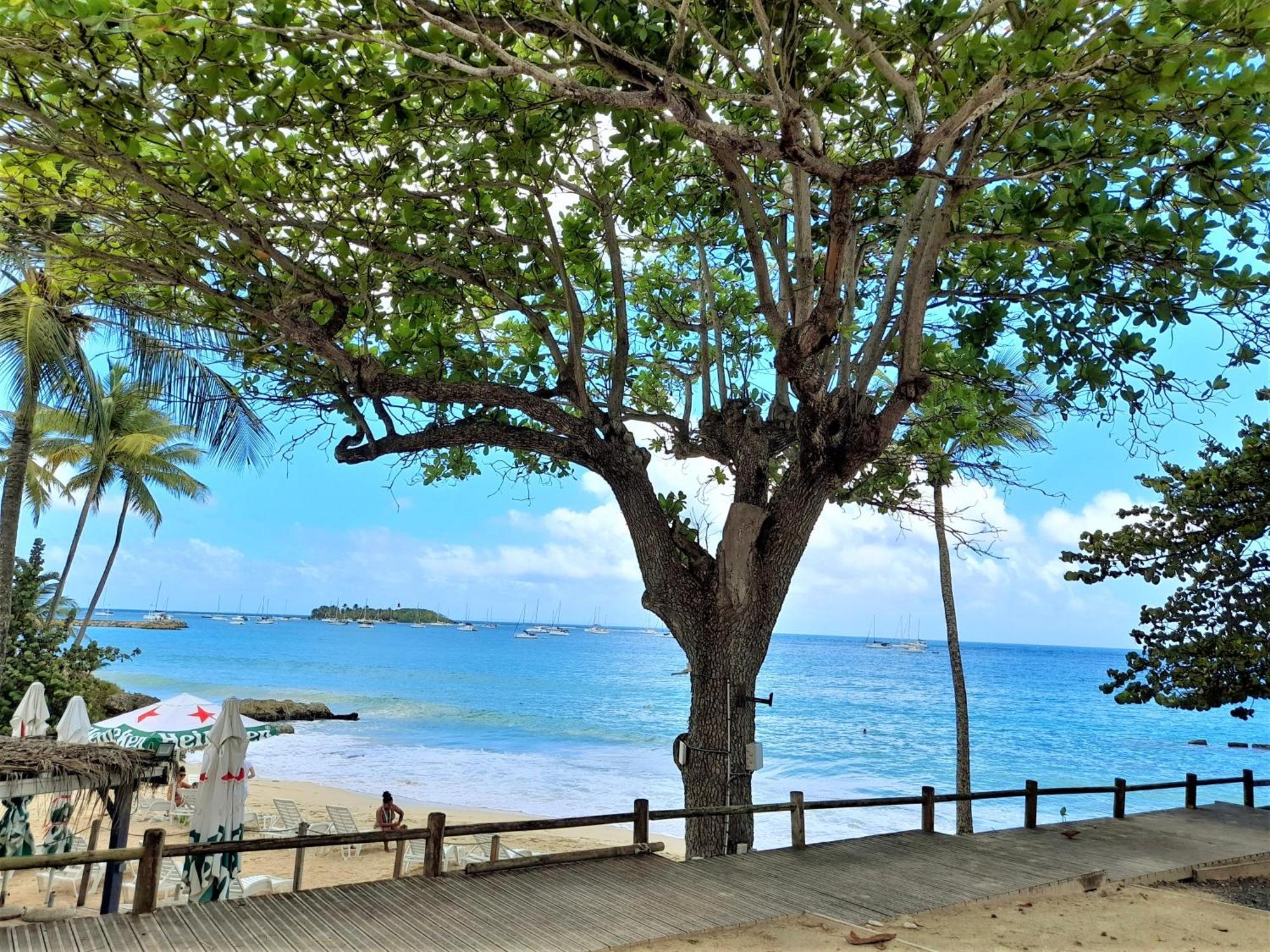 Ilet Bleu Studio Cosy Rdc Vue Mer Et Jardin - Acces Direct Plage Le Gosier  Exterior foto